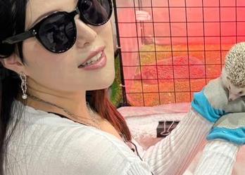 发现你夏夏的全新美图，风纪委员带来前所未有的视觉享受！