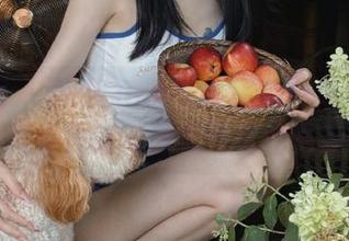 秀人网 – 涵涵Luna婚纱写真合集：展现青春风格与甜美气息的图包